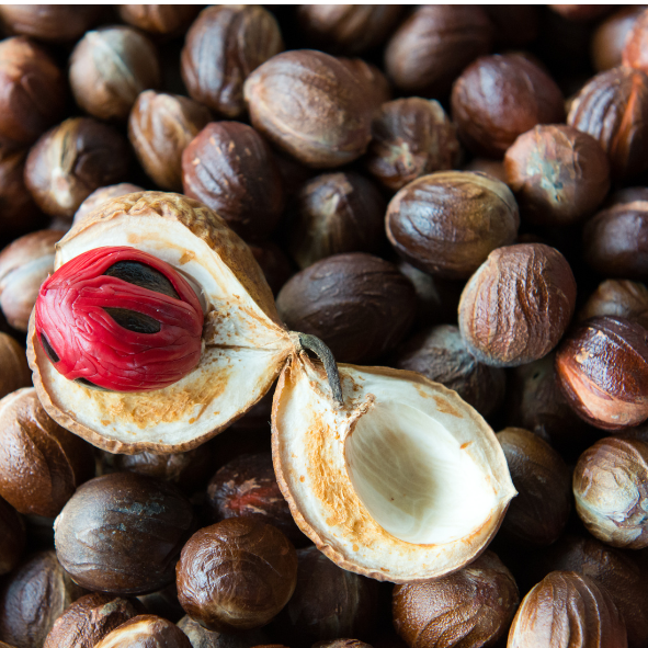 Nutmeg seed/ജാതിക്കായ