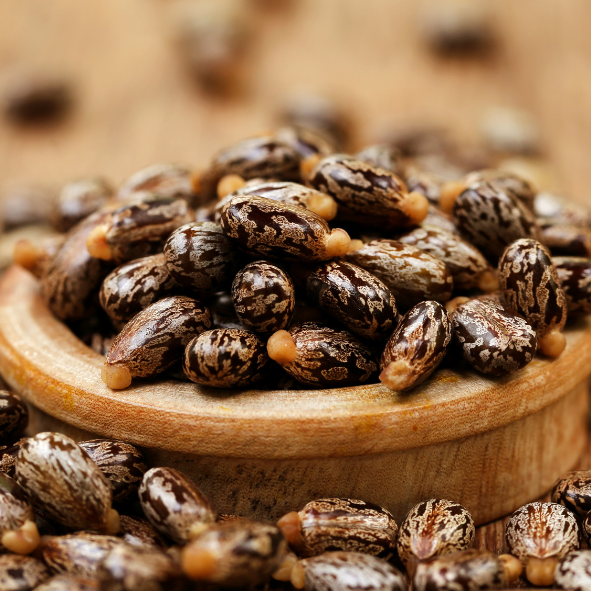 Castor Oil/ആവണക്കെണ്ണ