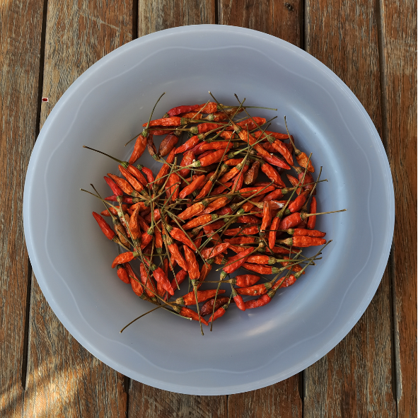 Dried Bird Eye Clilly/ഉണക്ക കാന്താരിമുളക്
