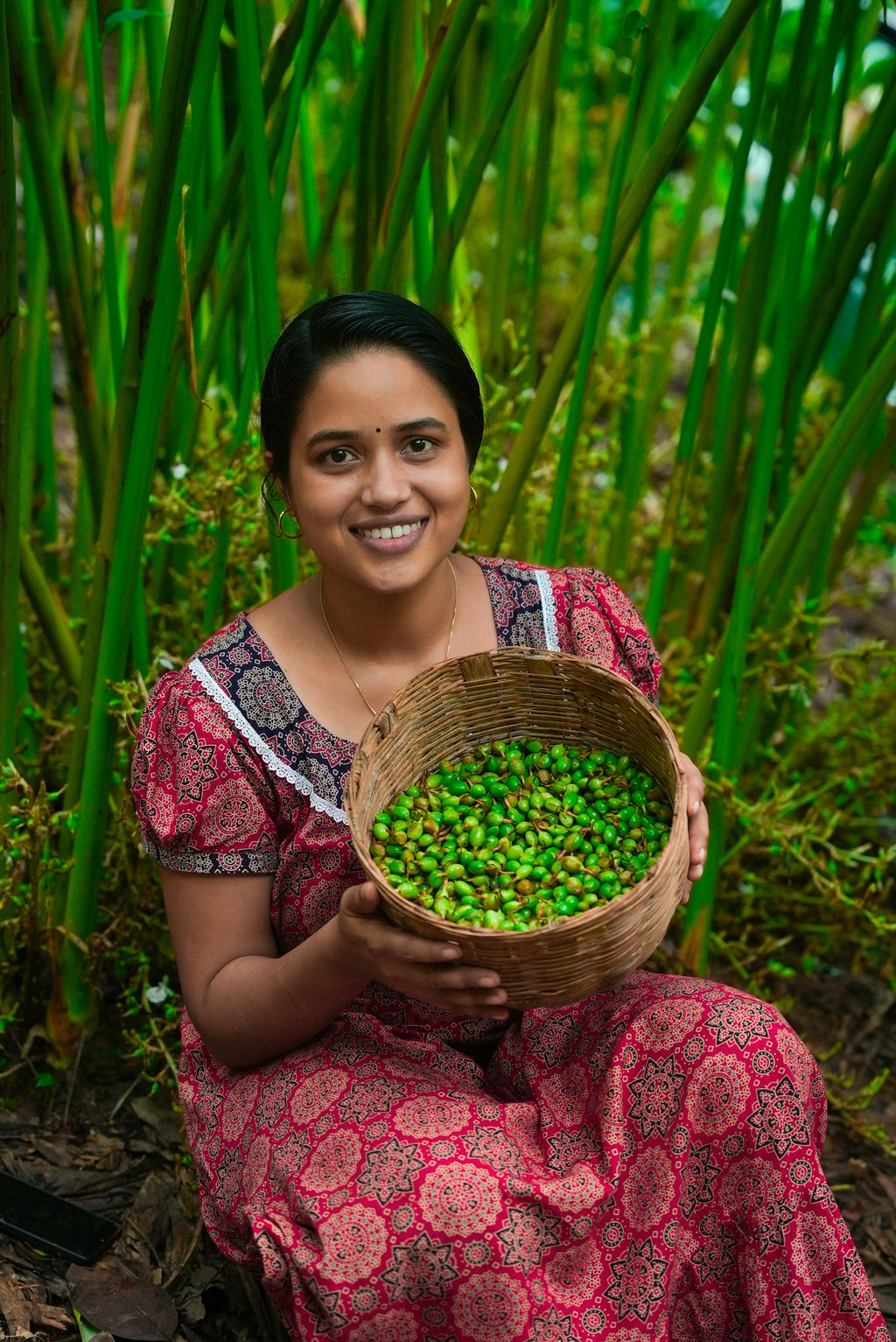 Cardamom(ഏലക്കായ)