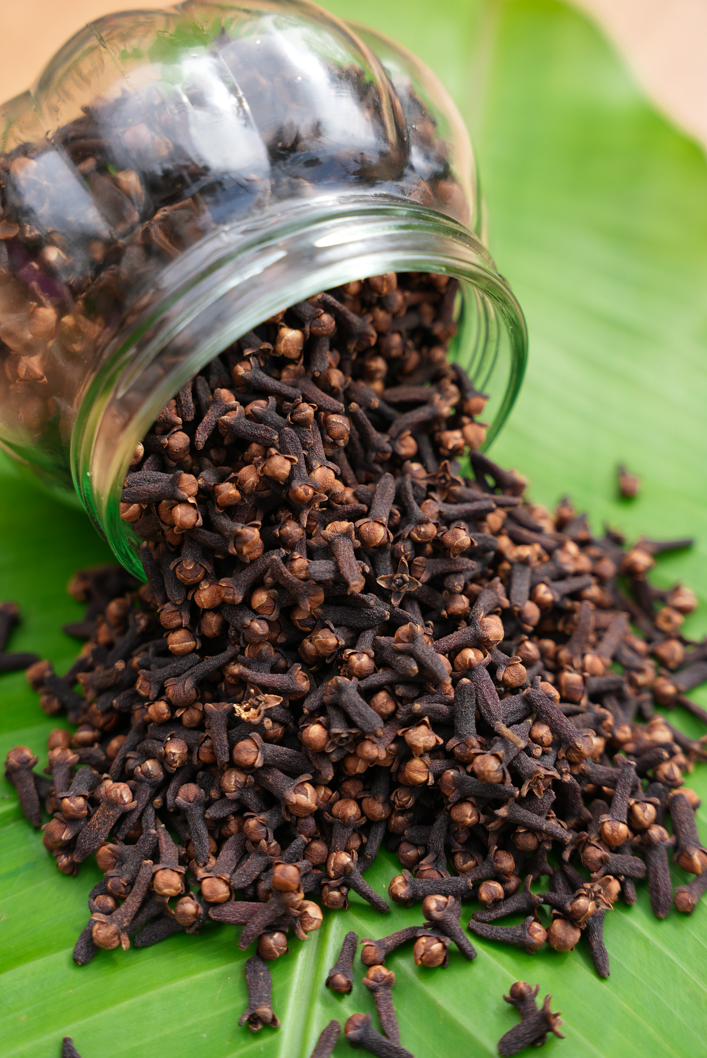 Cloves /കരയാമ്പൂ