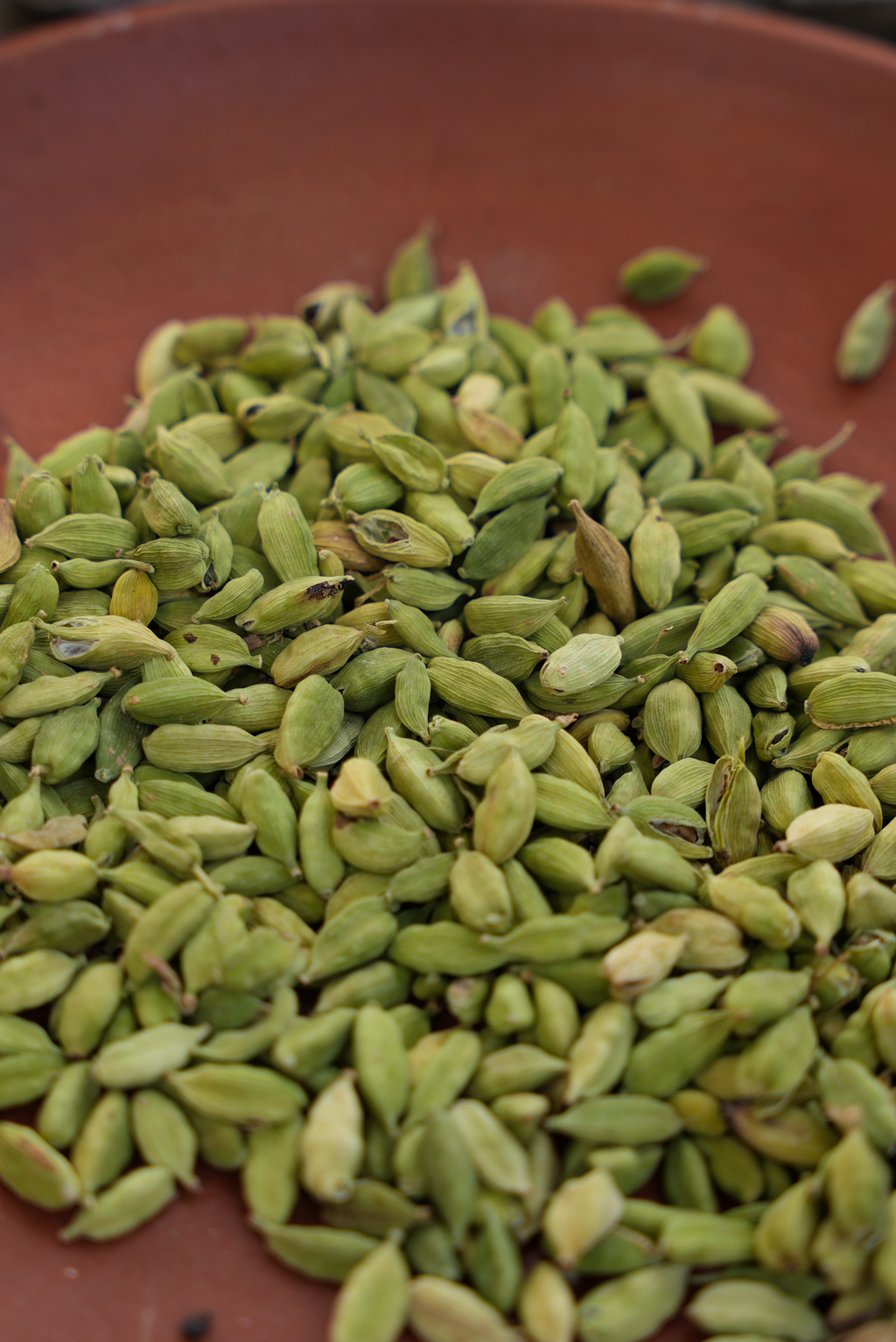 Cardamom(ഏലക്കായ)