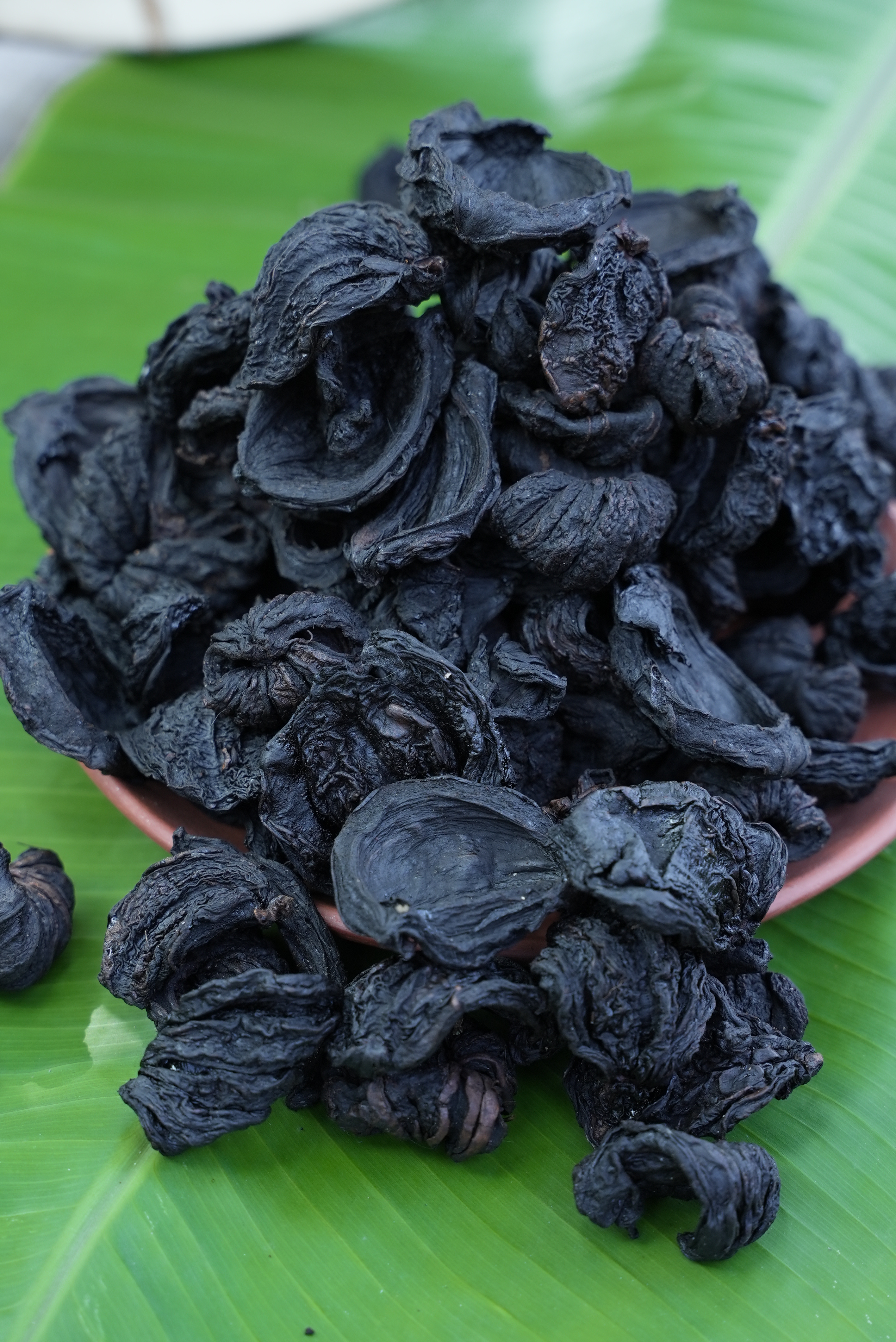 Malabar tamarind (നാടൻ കുടമ്പുളി)