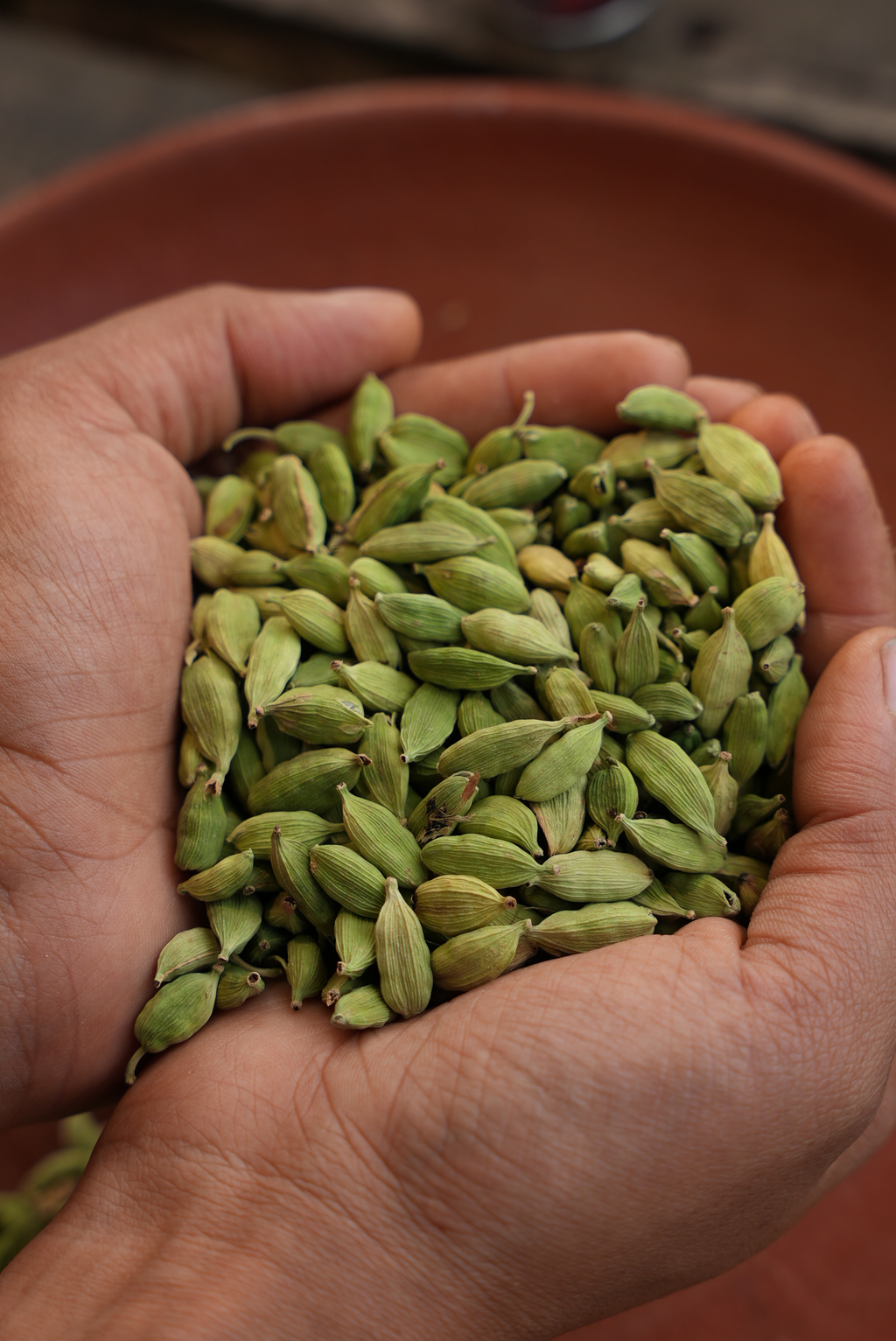 Cardamom(ഏലക്കായ)