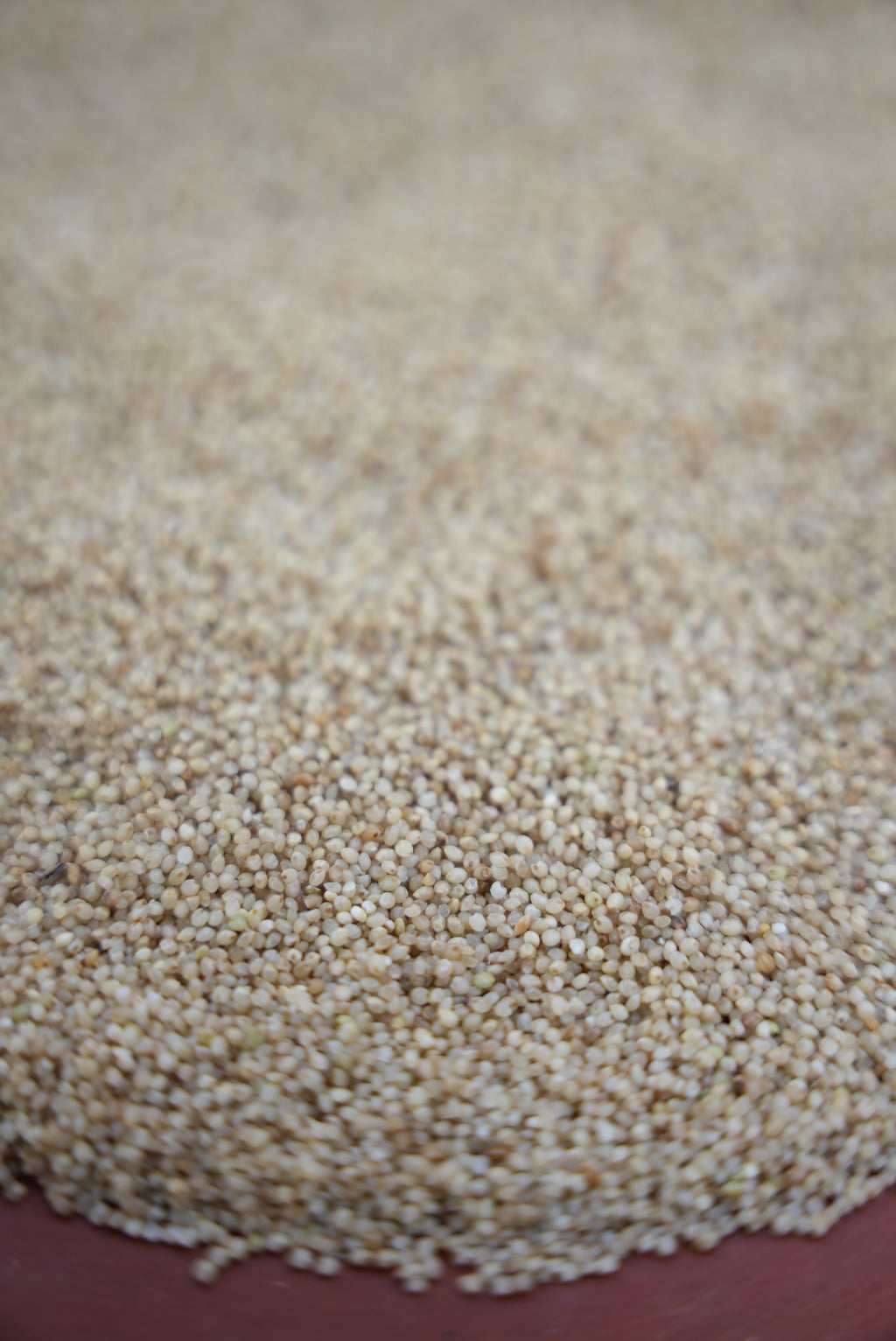 Little Millet ( ചാമ അരി )