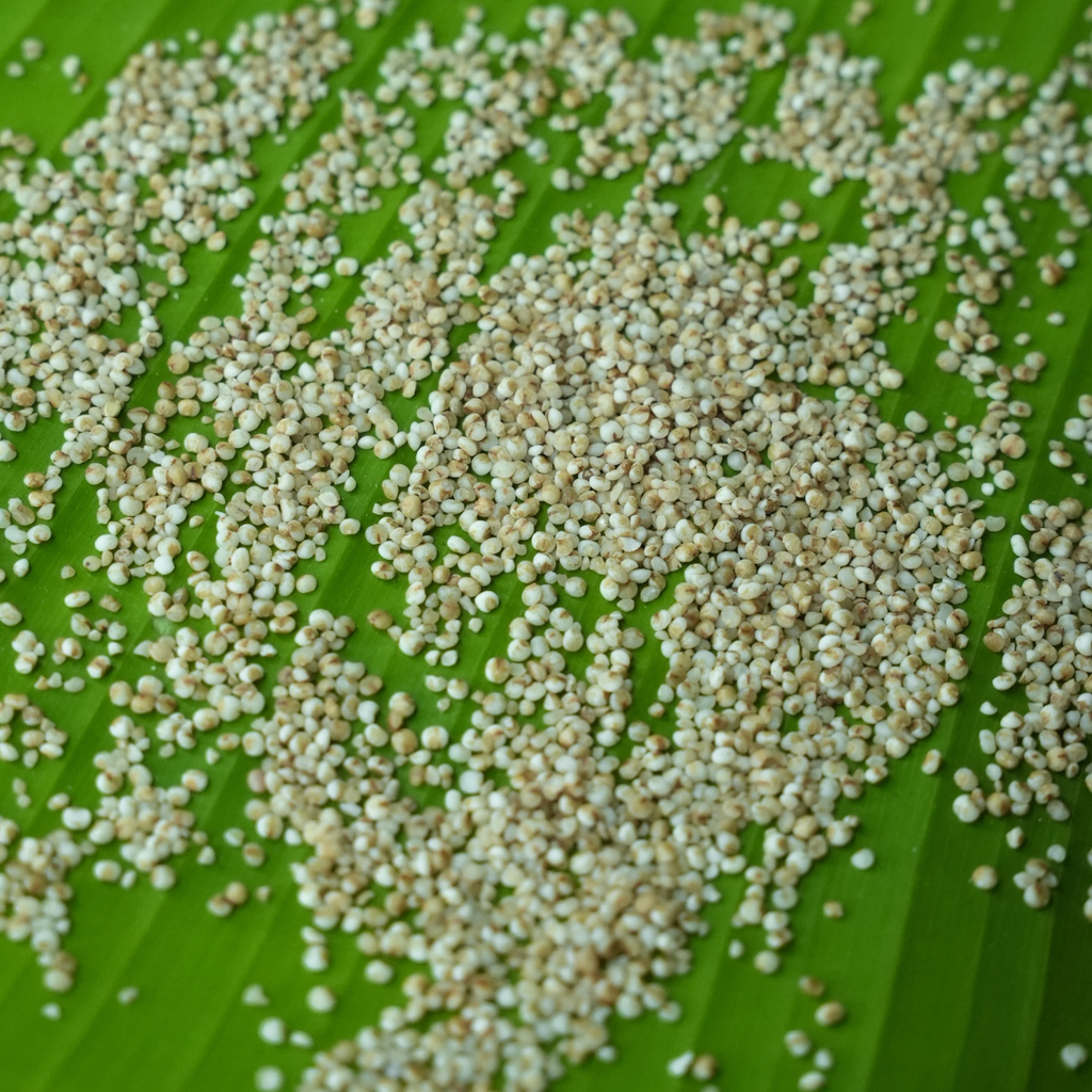 Kodo Millet/വരഗ് അരി