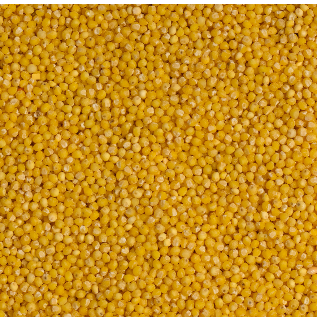 Foxtail Millet/തിന അരി