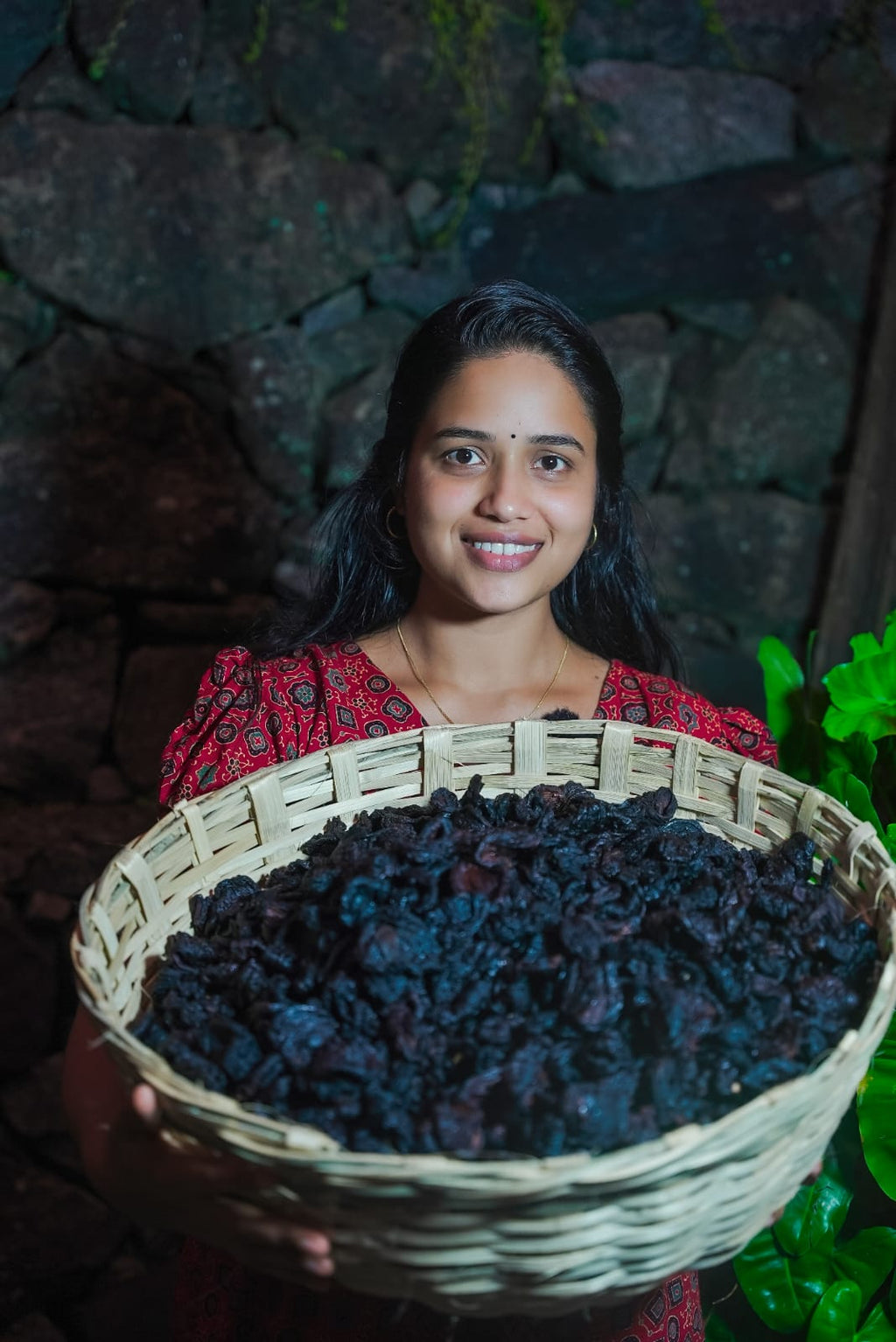 Malabar tamarind (നാടൻ കുടമ്പുളി)