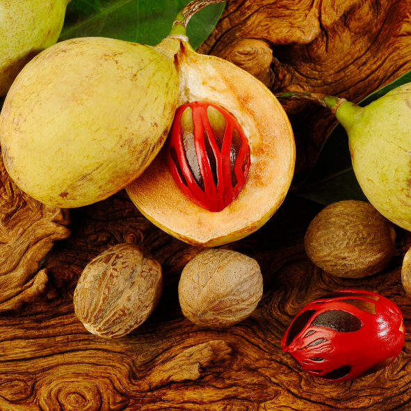 Nutmeg seed/ജാതിക്കായ